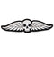 FLYING Skull
