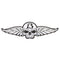 13 SKULL WINGS Iron-on patch