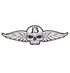 13 SKULL WINGS Iron-on patch