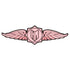 HR BULLET WINGS Iron-on patch
