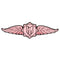 HR BULLET WINGS Iron-on patch